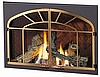 BLACK WEB ARCH DOOR